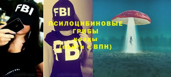 скорость Богданович