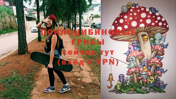 прущая мука Богородск