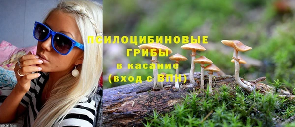 прущая мука Богородск