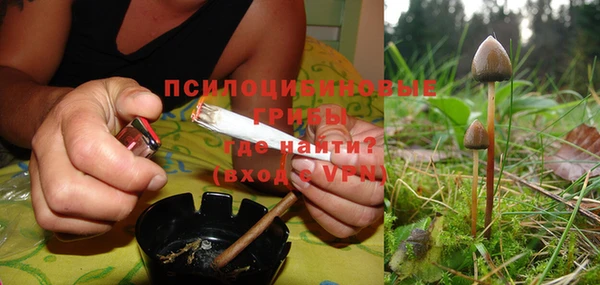 скорость Богданович