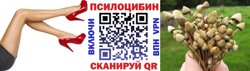Галлюциногенные грибы Magic Shrooms  как найти закладки  Новокузнецк 